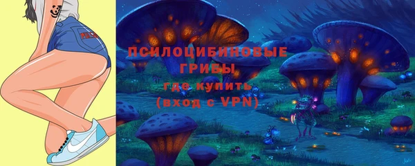spice Балахна